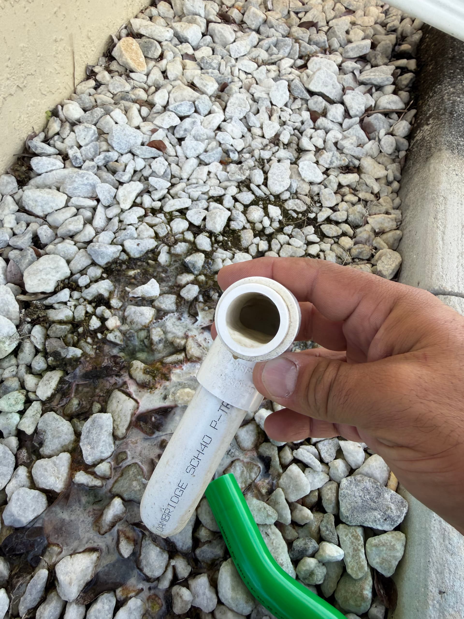 Gallery photos for Anti-Algae Drain Trap Installation in Port Saint Lucie: Image #3