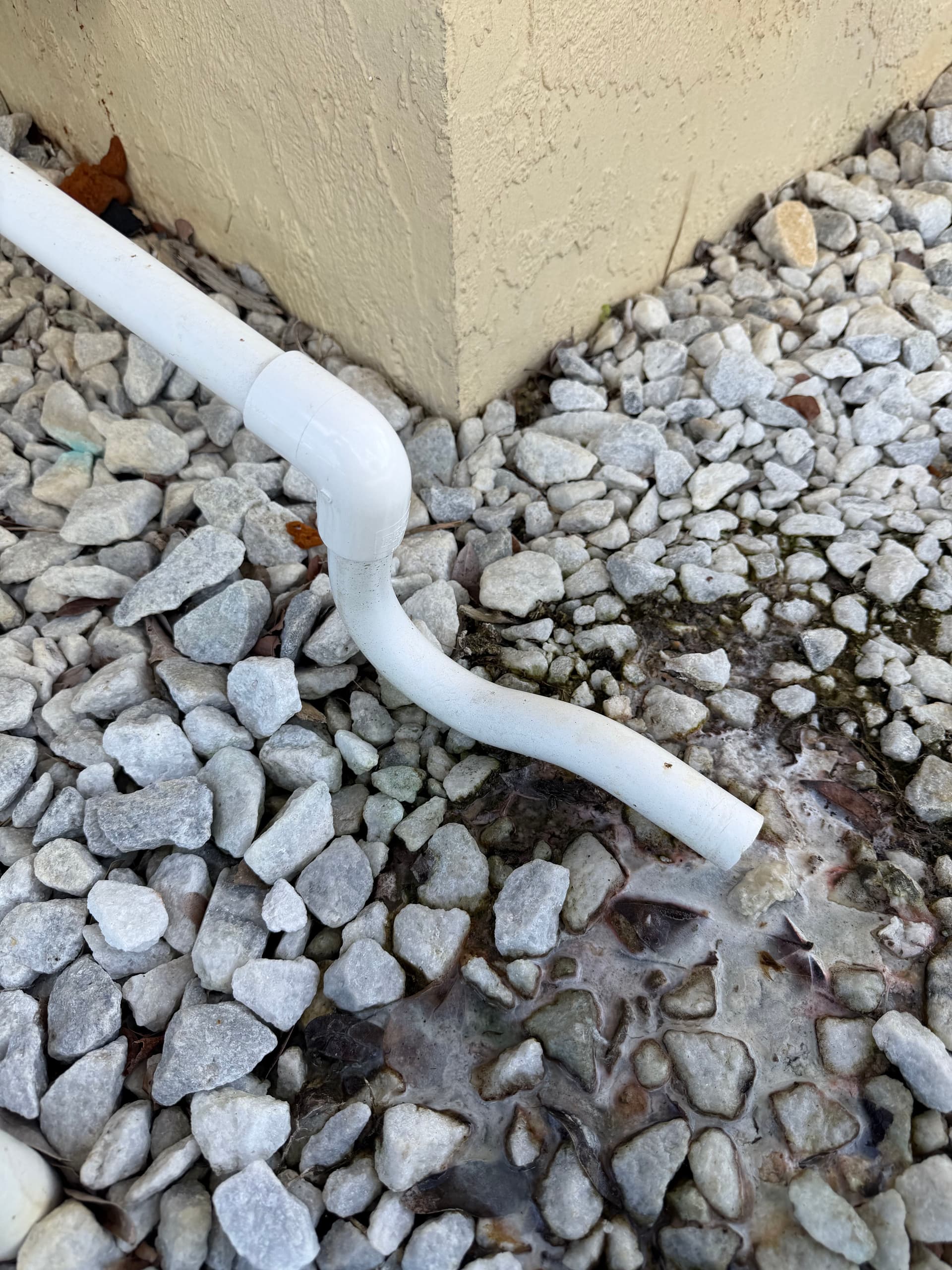 Gallery photos for Anti-Algae Drain Trap Installation in Port Saint Lucie: Image #4