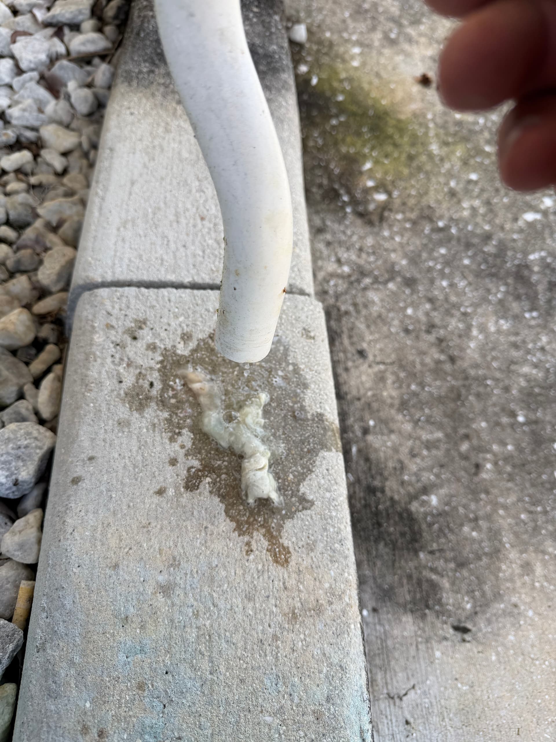 Gallery photos for Anti-Algae Drain Trap Installation in Port Saint Lucie: Image #2